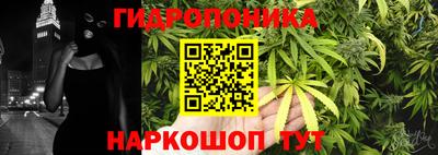 эйфоретик Владимир