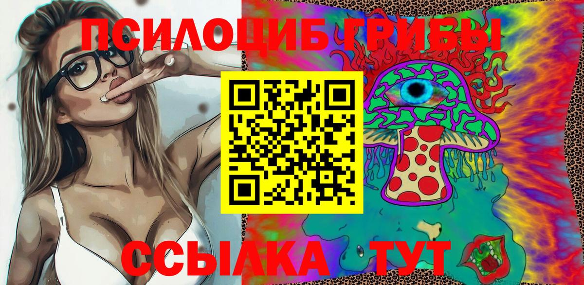 Псилоцибиновые грибы Psilocybine cubensis Вологда