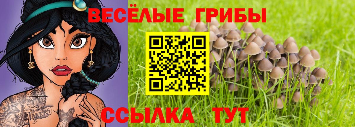 Вологда  Псилоцибиновые грибы мухоморы  Вход с VPN 